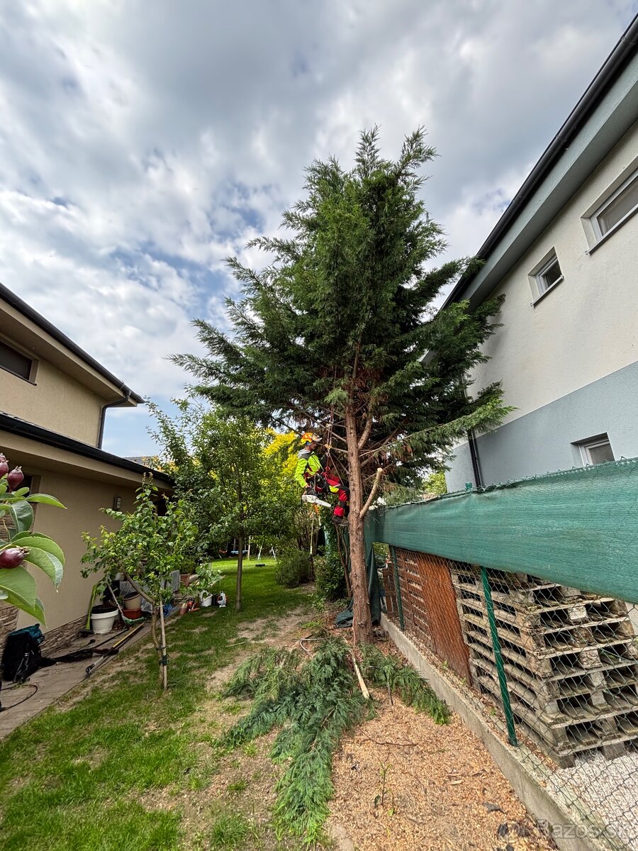 Kosenie/Strihanie/Údržba zelene/Pílenie /Drvenie - 9