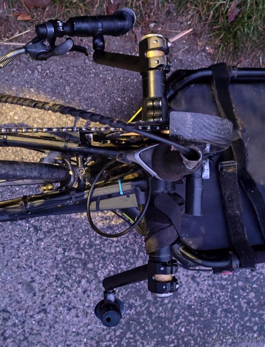 Shmicking Handbike - 9