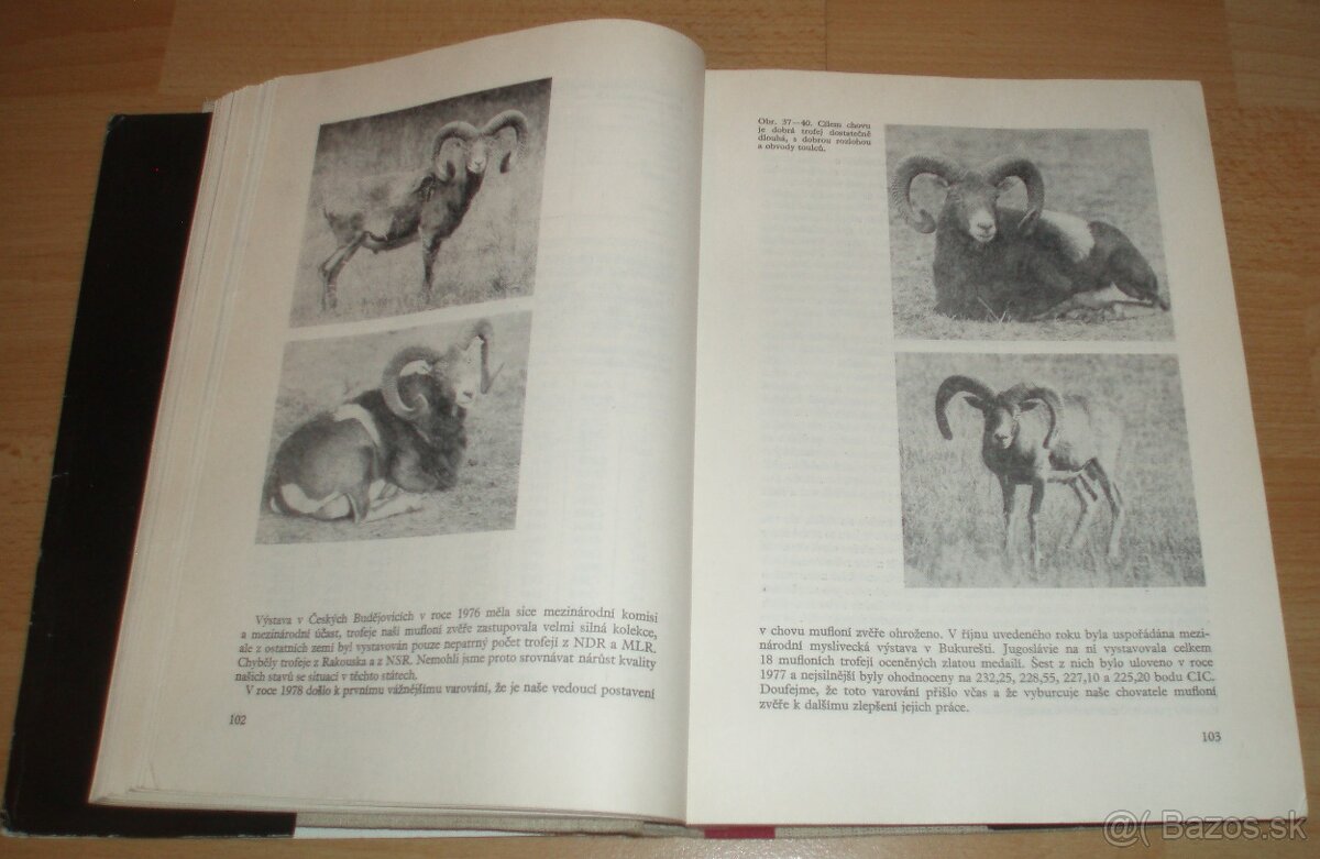 Dutorohá zvěř - 9