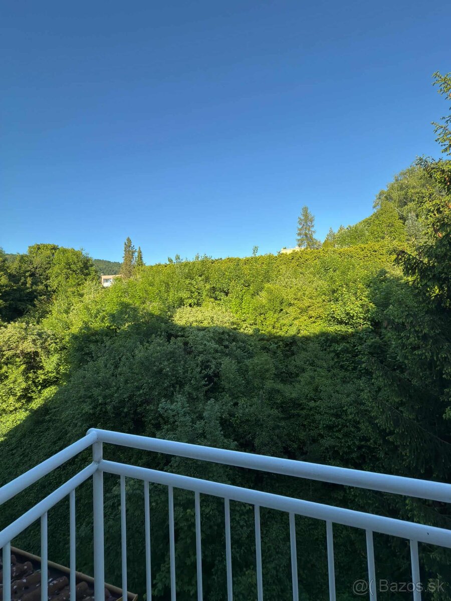 Na predaj krásny 3 izbový byt v Trenčianskych Tepliciach - 9