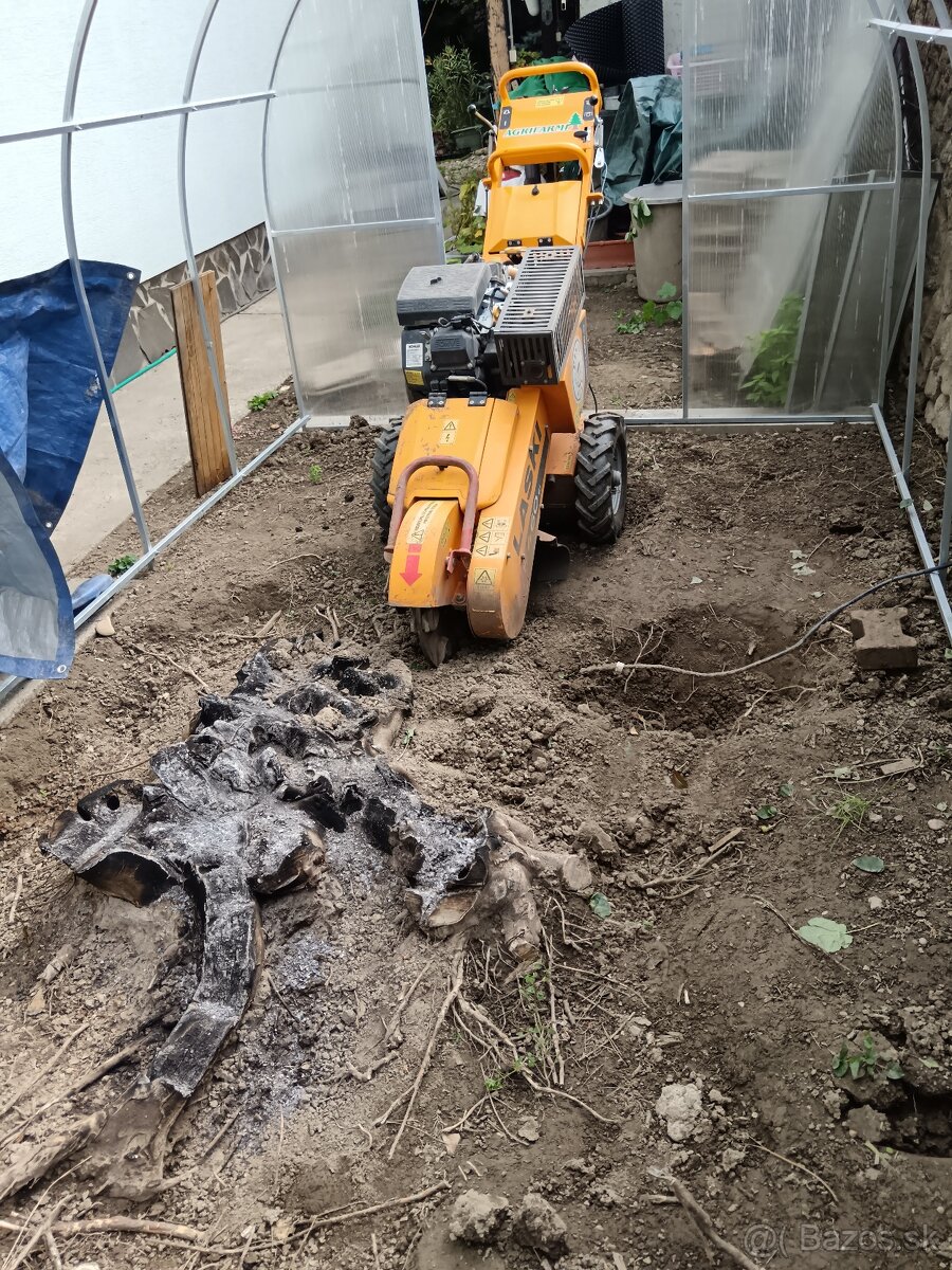 Pílenie stromov, arboristika, výrub stromov, orez stromov - 9
