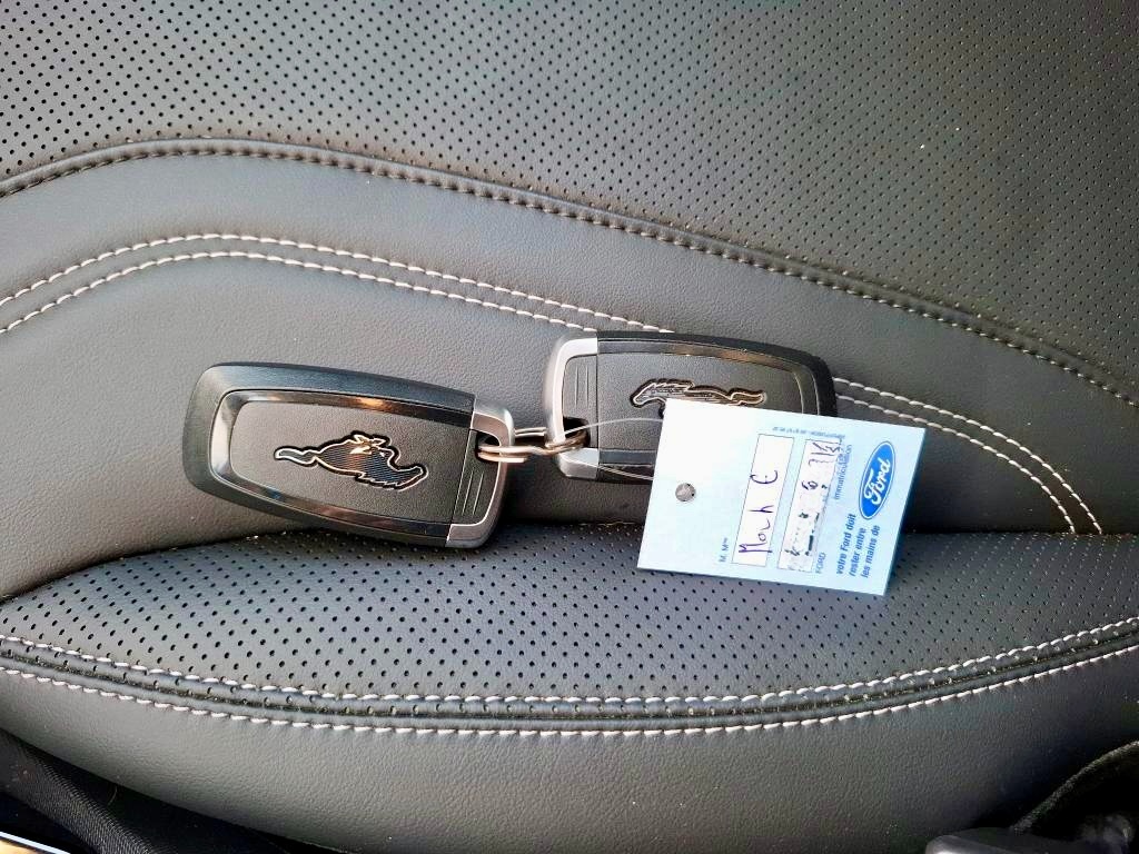 Ford Mustang Mach-E 75,7 kWh RWD STD za 31.490 € s DPH - 9