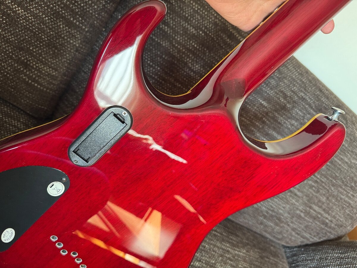 Washburn X50 ProFE gitara - 9