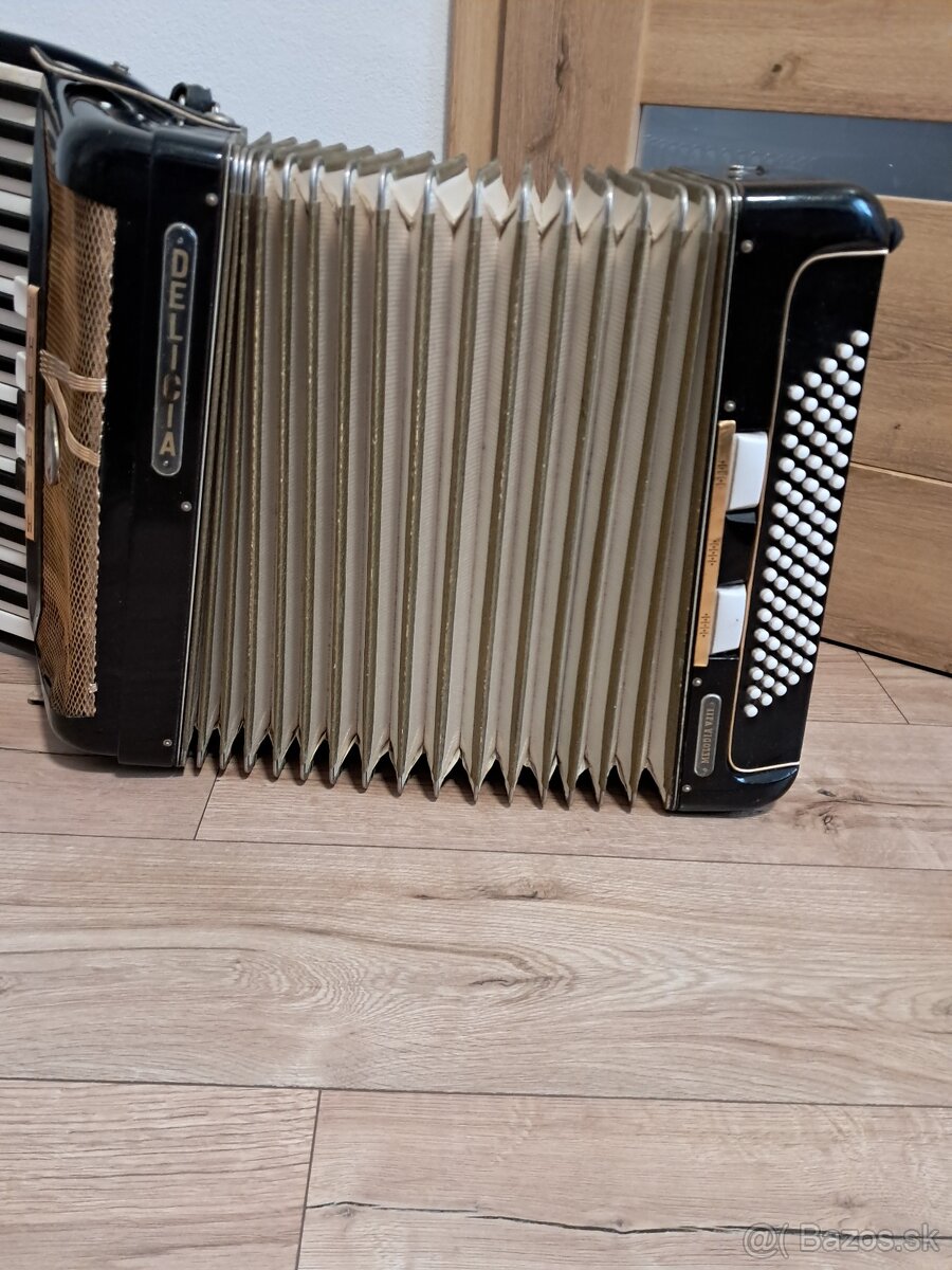 Akordeón Delicia - 9