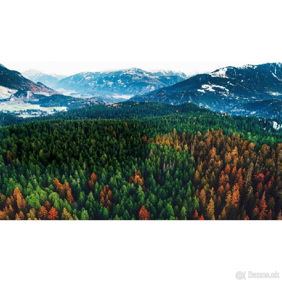 LG65 WebOS TV UK6300MLB - 9