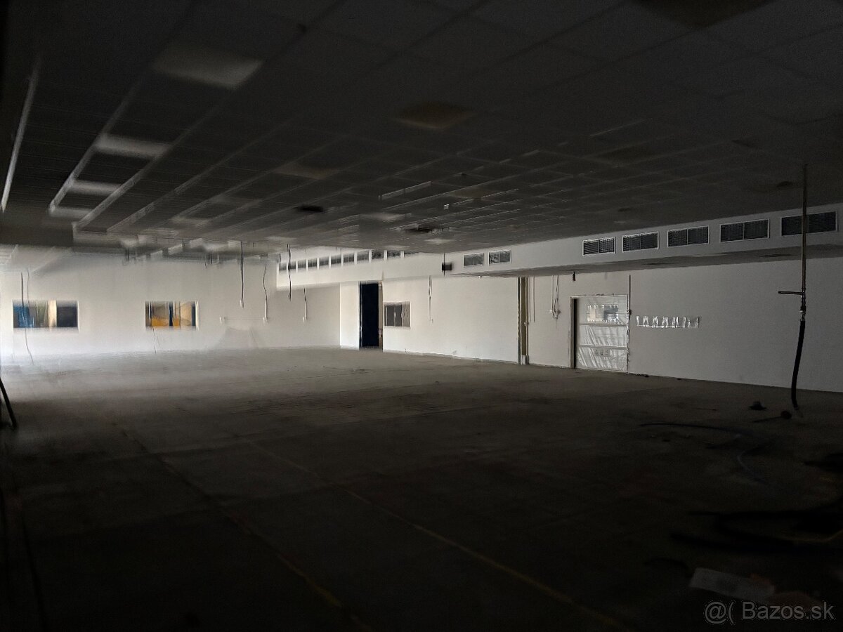 Haly na prenájom - 9