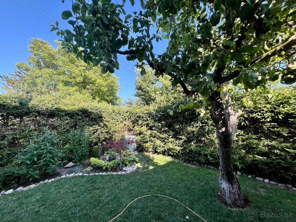 celoročne obývateľná chata / štartovací domček - 9