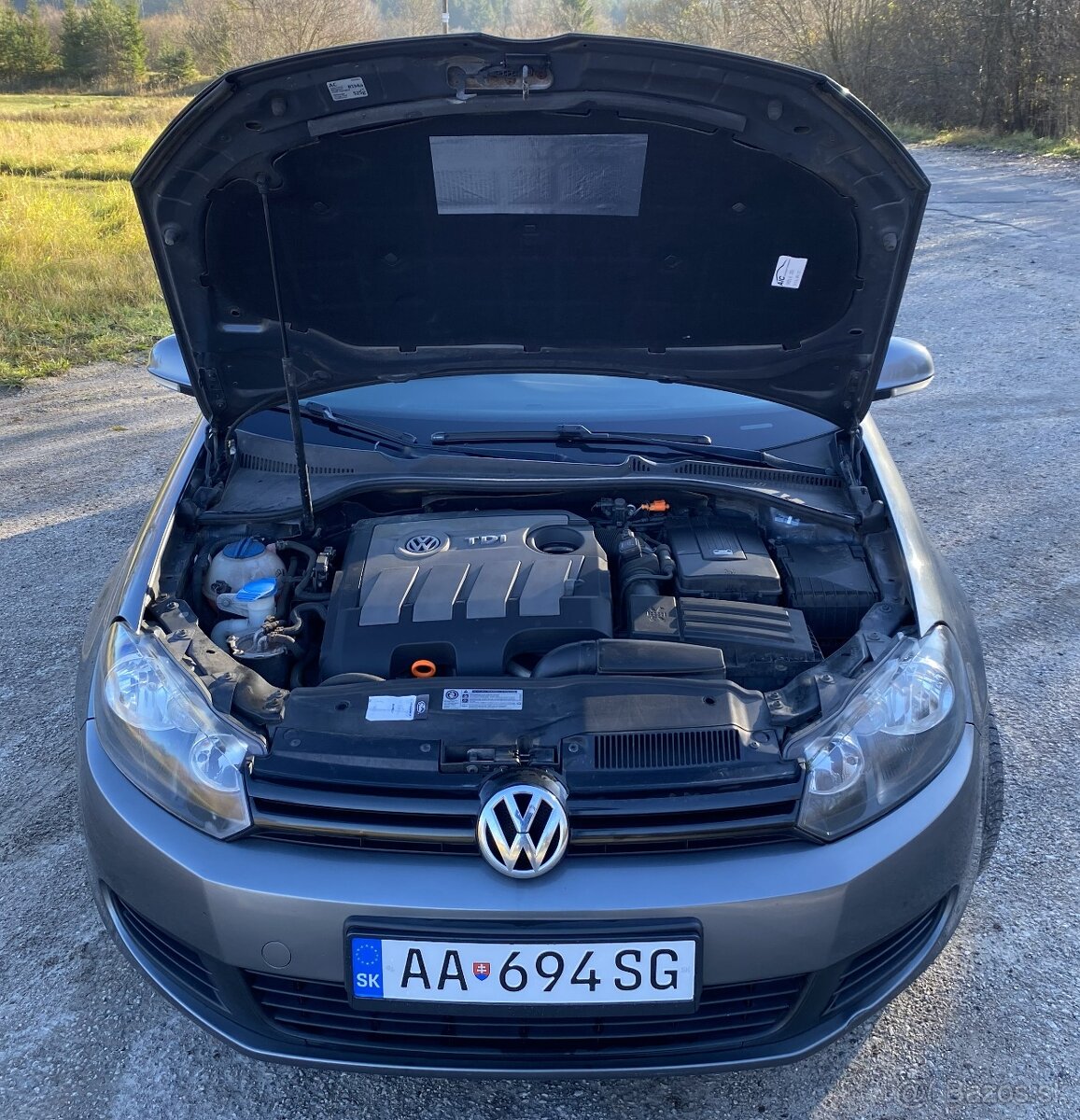 VW GOLF 1.6 TDI 77 KW TRENDLINE - 9