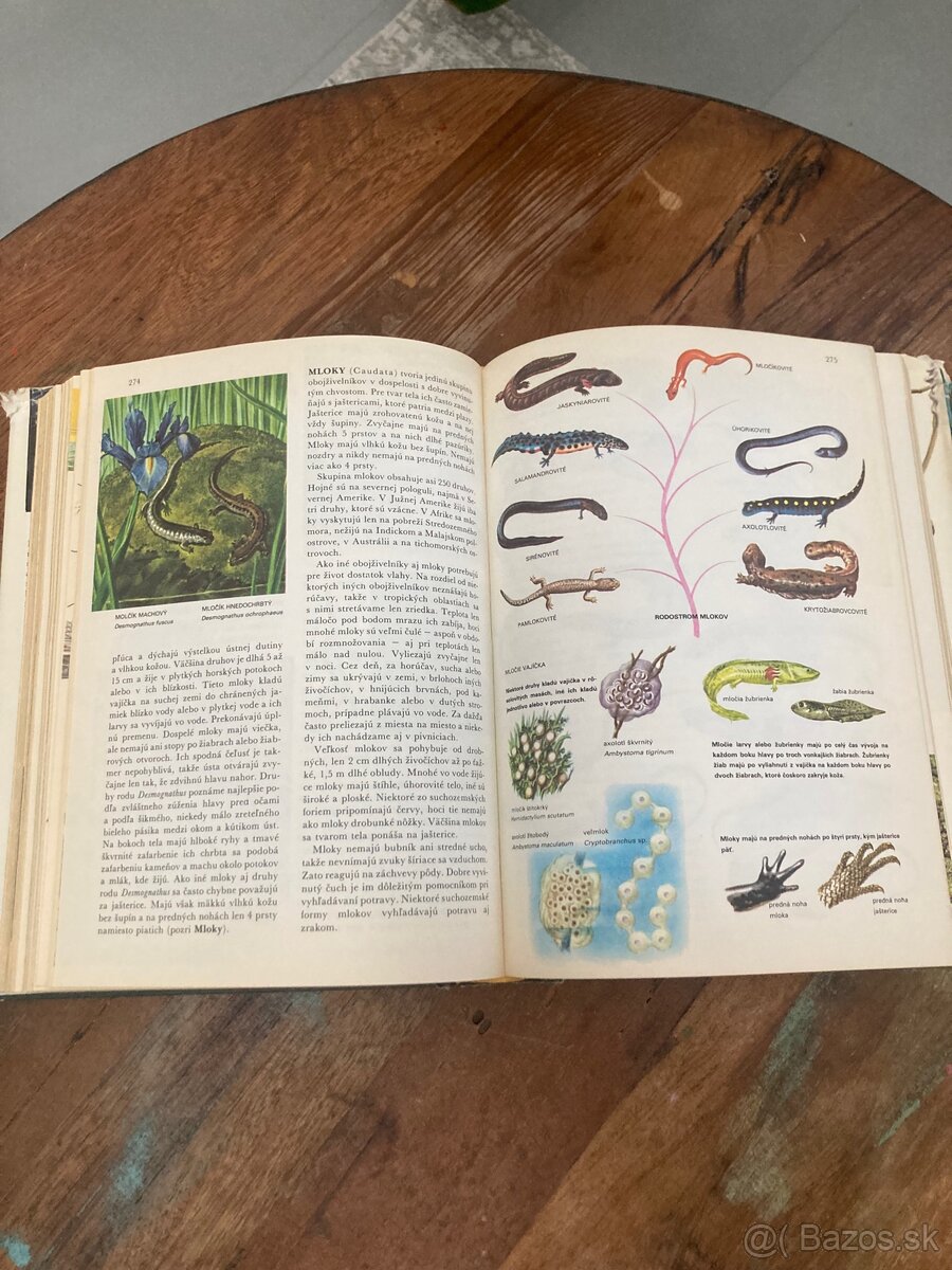 Svet živočíšnej ríše - 9