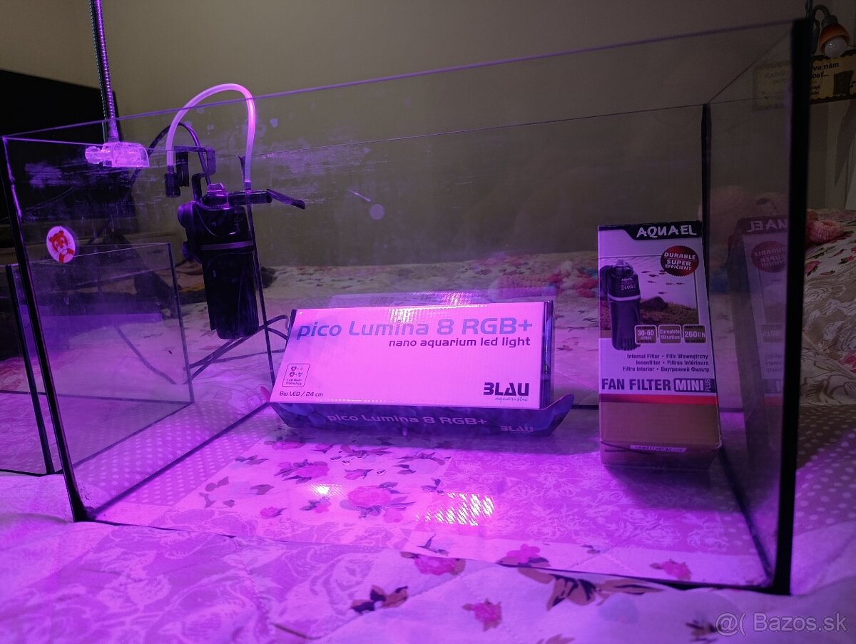 Akvarium pre začiatočníkov - 9