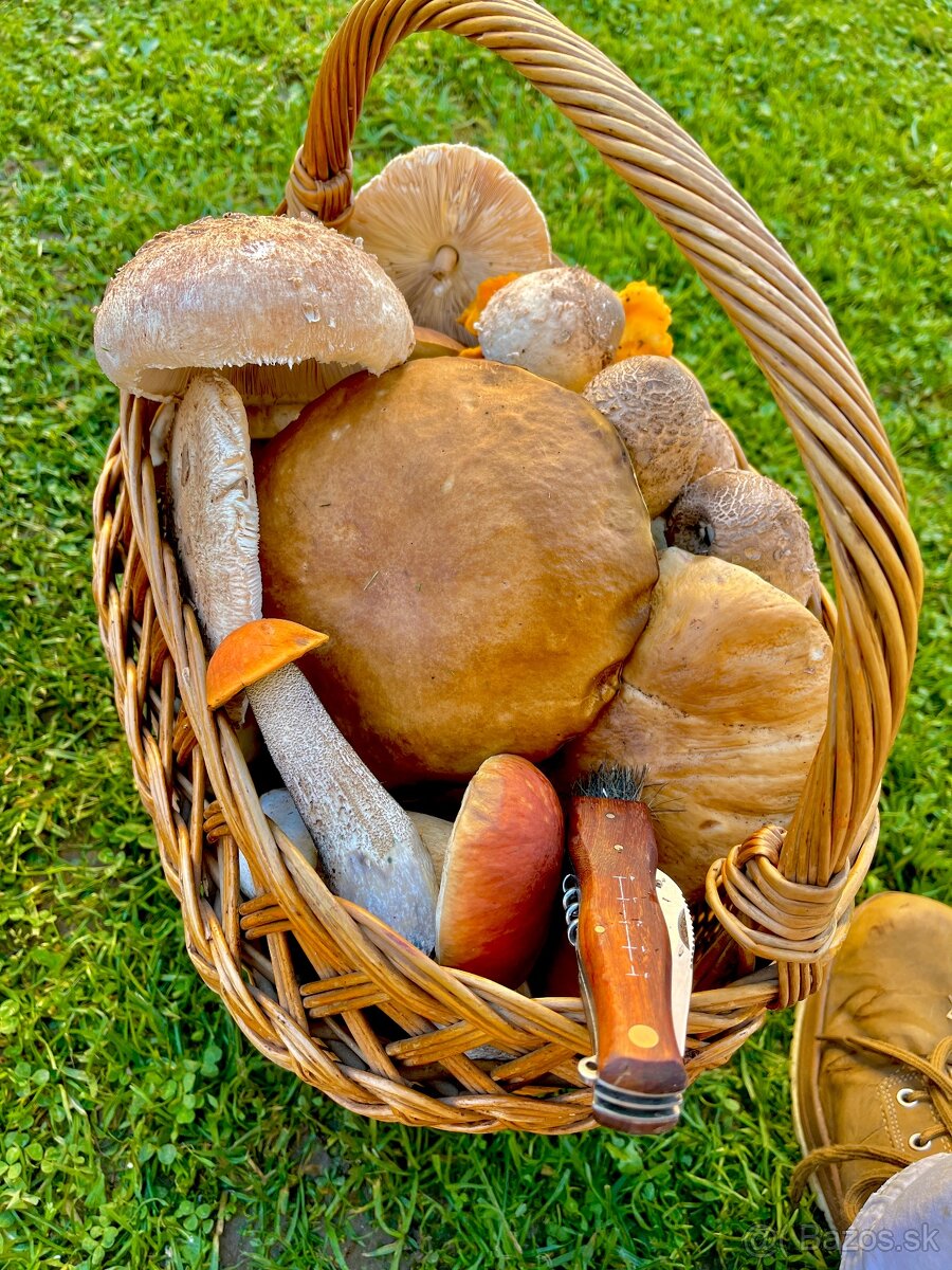 Sušené hríby - 9