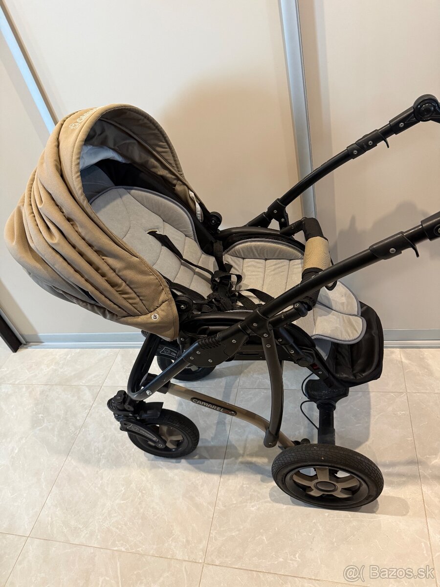 Predam kocik Camarelo - 9