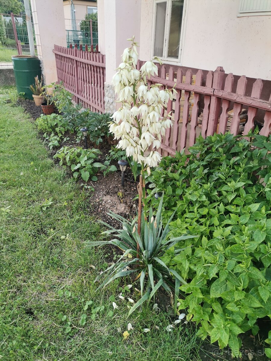 Gazdovský dom v Szalaszende - 9