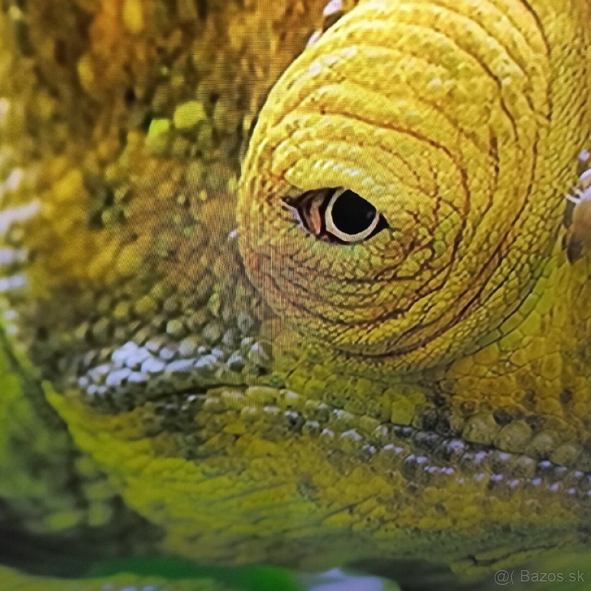 Samsung 4k led lcd tv 50 (127cm) smart - 9