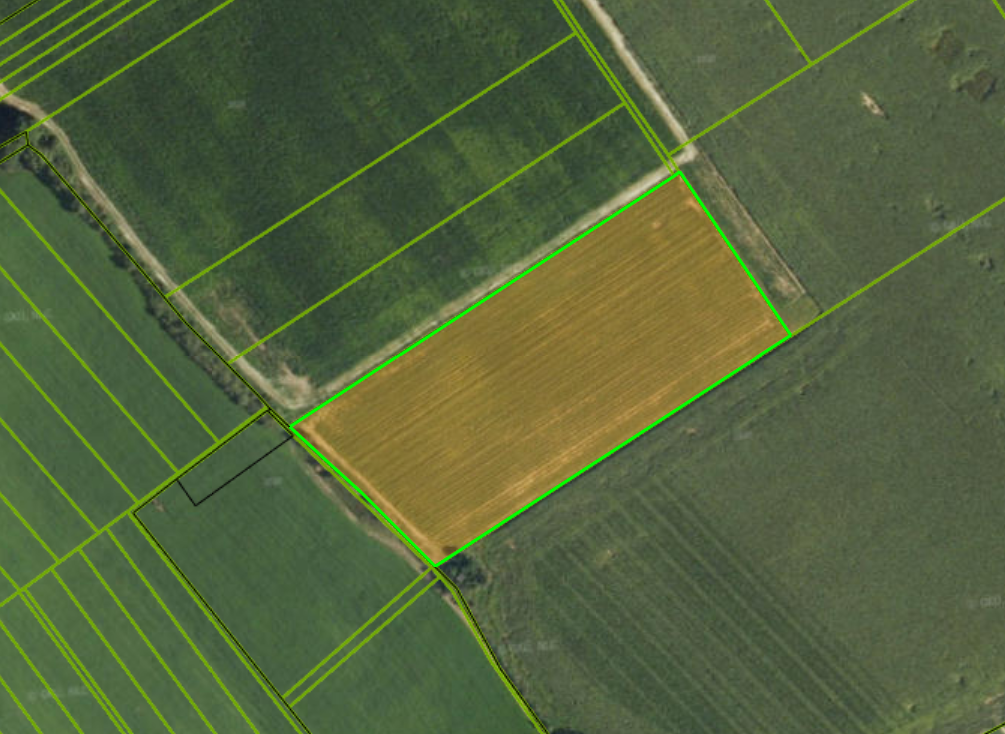 Prenájom vinohradu – Štefanová - 9