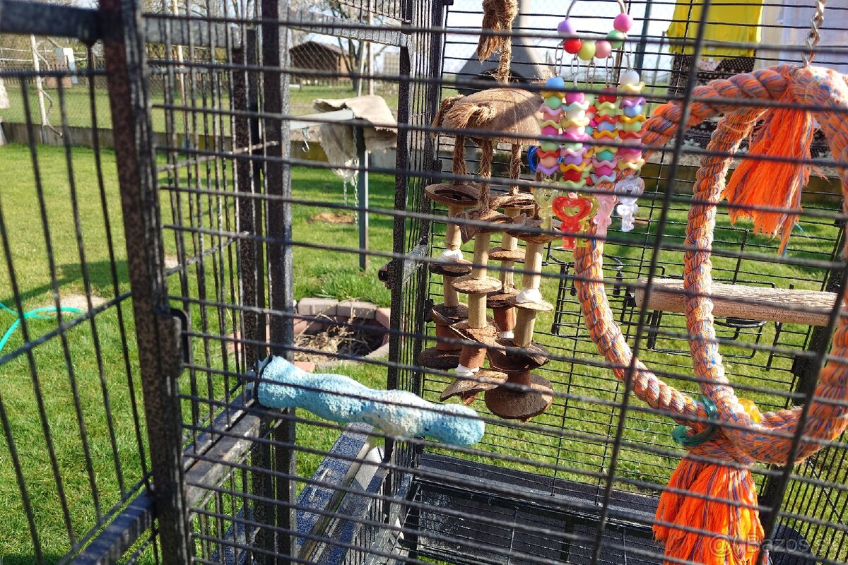 Klietka + zrno a doplnky stravy - 9