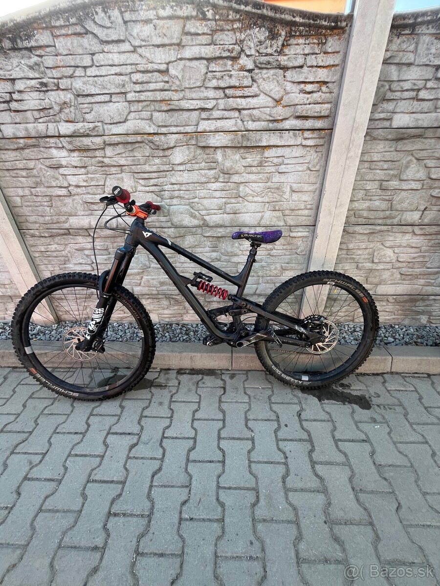 Predam YT capra 2023 - 9