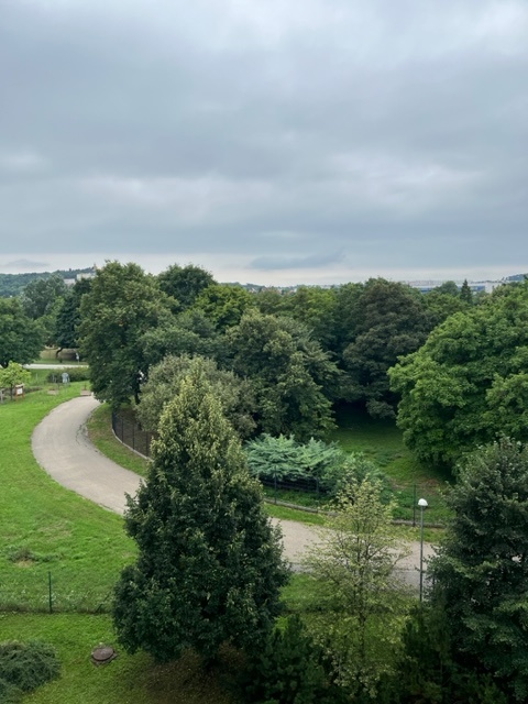 Prenájom 2 izbový byt Nitra, Chrenová TOP lokalita - 9