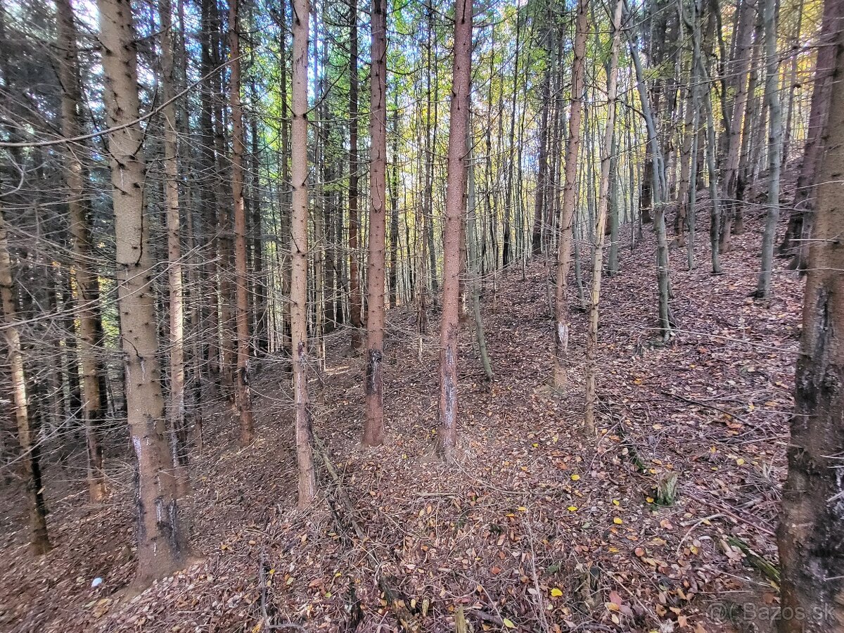 Vymením 3,8 ha lesného pozemku za ornú pôdu - 9