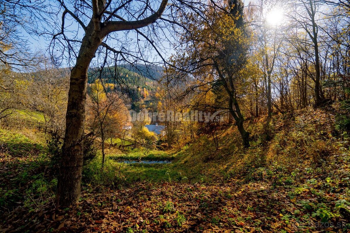 PREDAJ: Tajuplná záhrada s jazierkom a banským potôčikom, 19 - 9