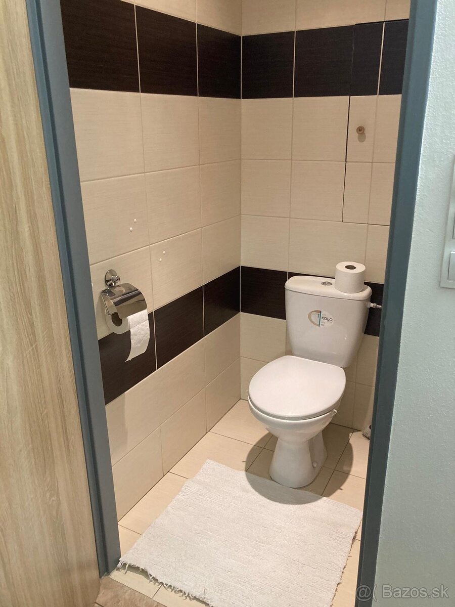 Prenájom 2 izbového bytu na Terase - 9