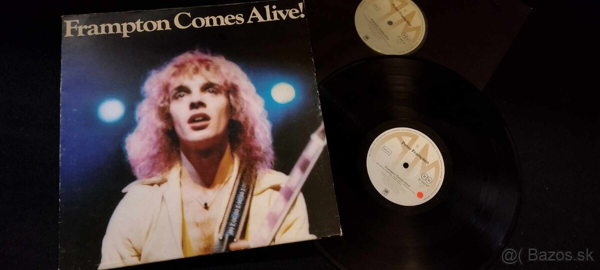 LP výborné stavy rock - 9