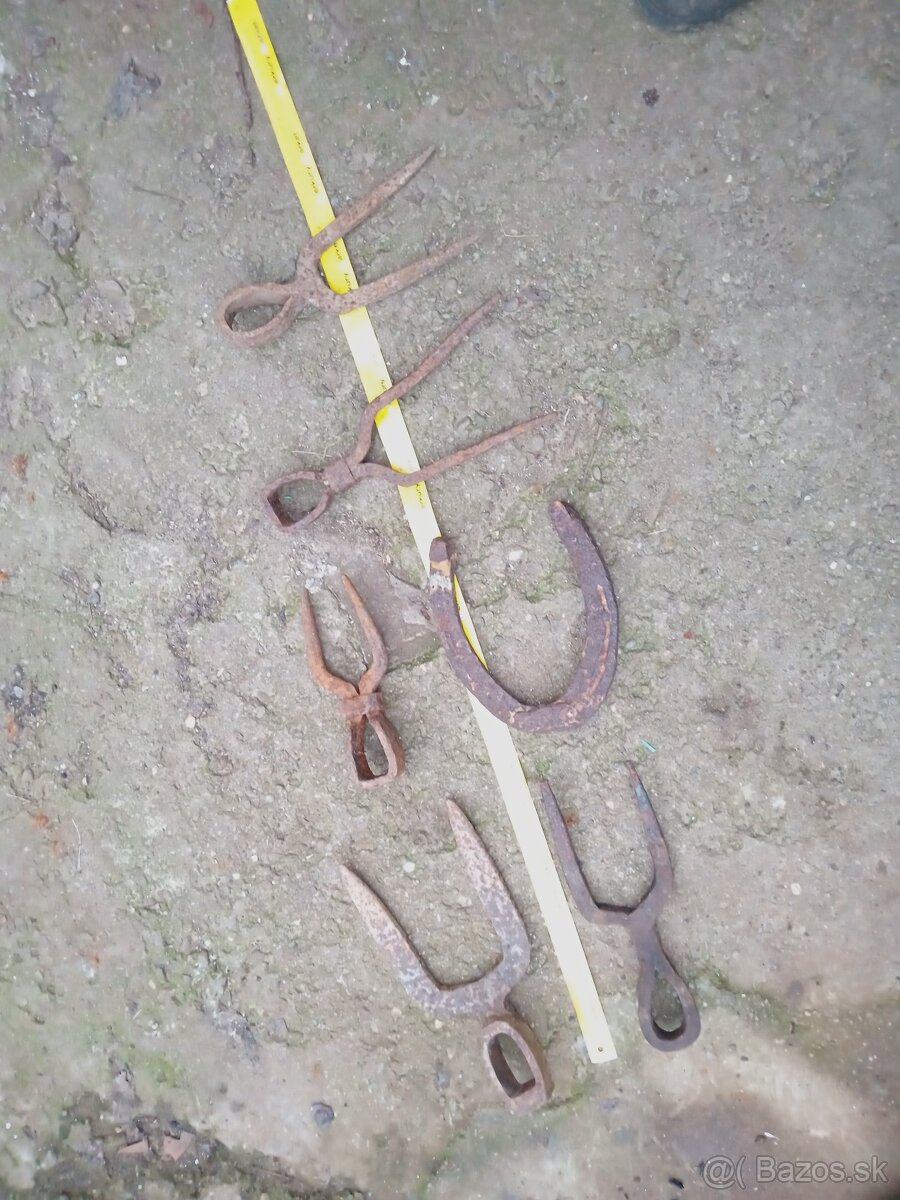 Tlcik motyka podkova - 9