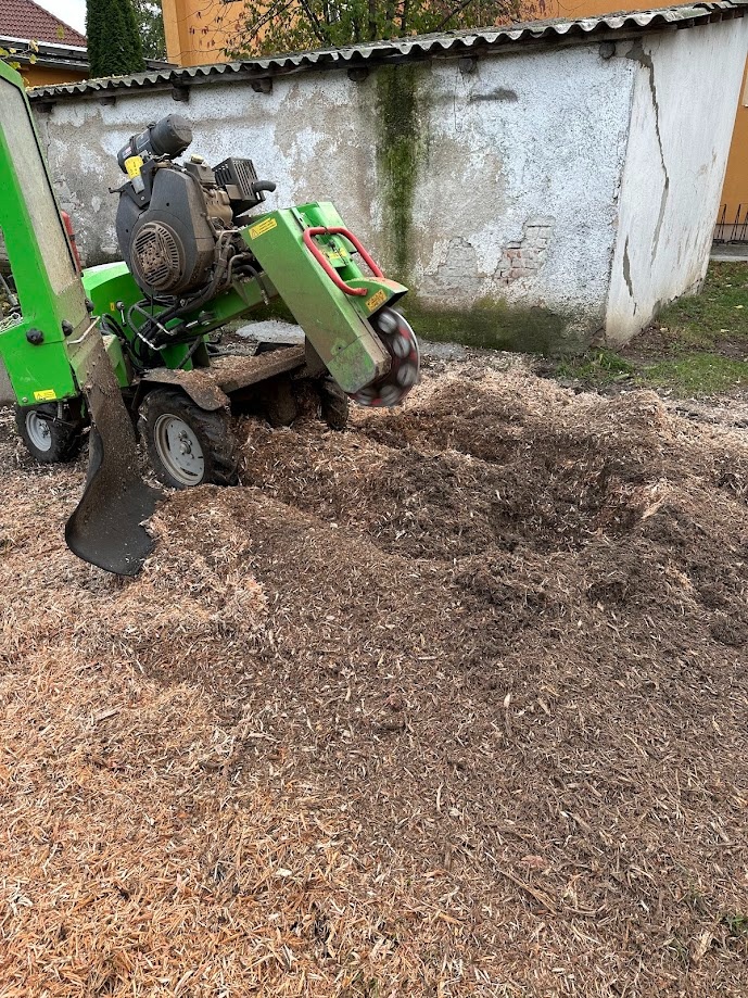 Arboristika, výrub a orez stromov - 9