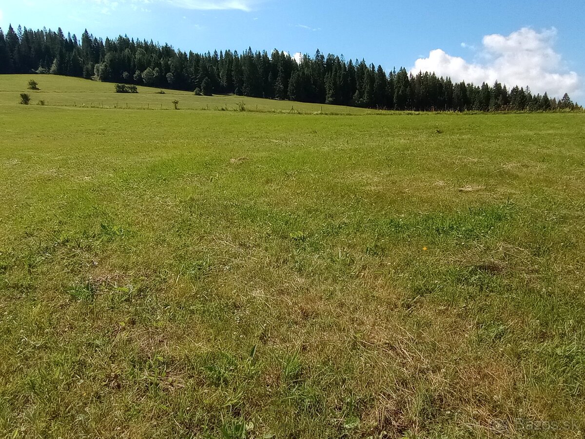 Orná pôda Lokca - 9