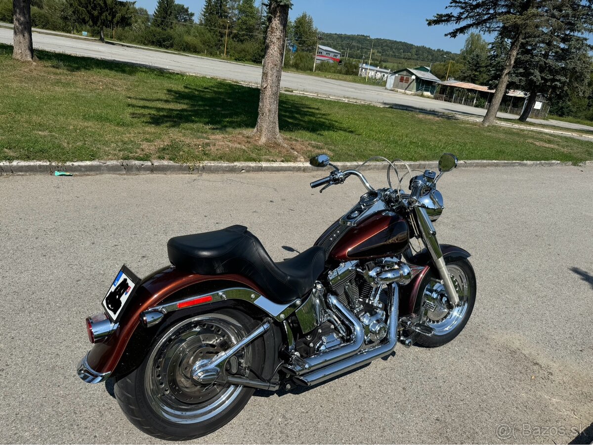 Harley Davidson Fat Boy 1600 mozna vymena - 9