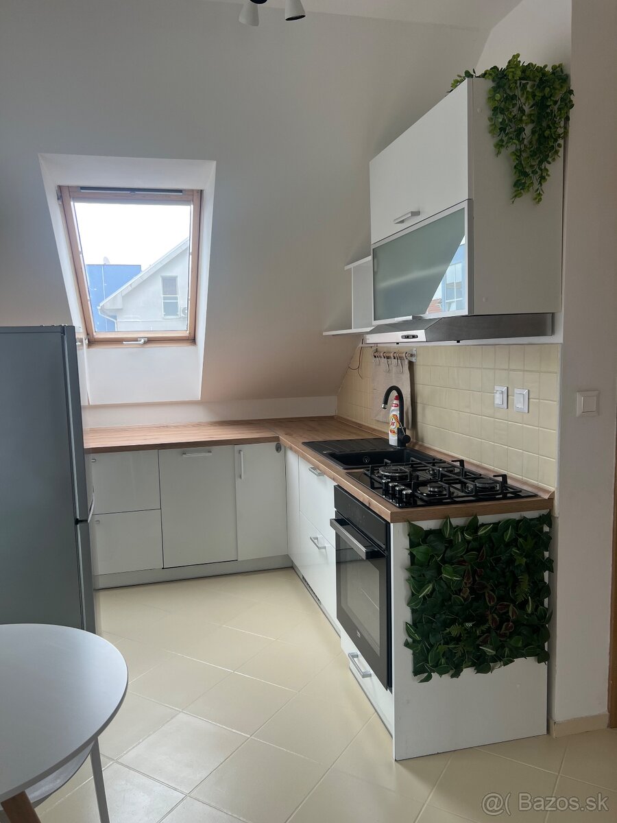 PETFRIENDLY 1-izbový byt so záhradkou (Biely Kostol) - 9