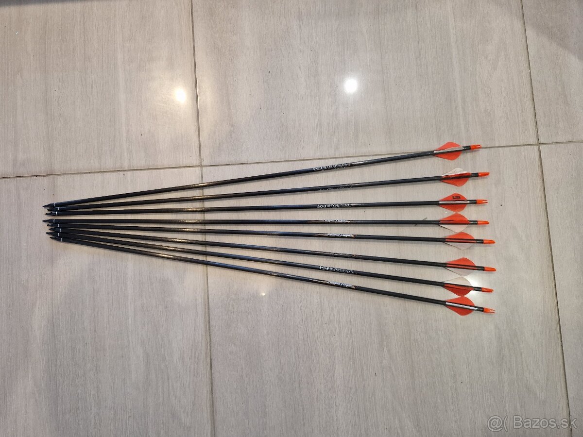 Kladkový luk hoyt - 9