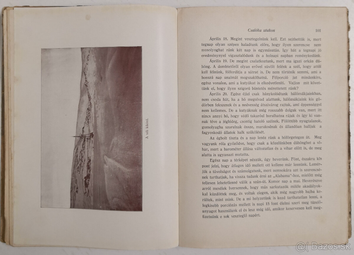 A sarkvidék remetéje 1916 - 9