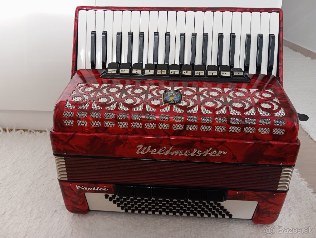 akordeon-harmonika - 9