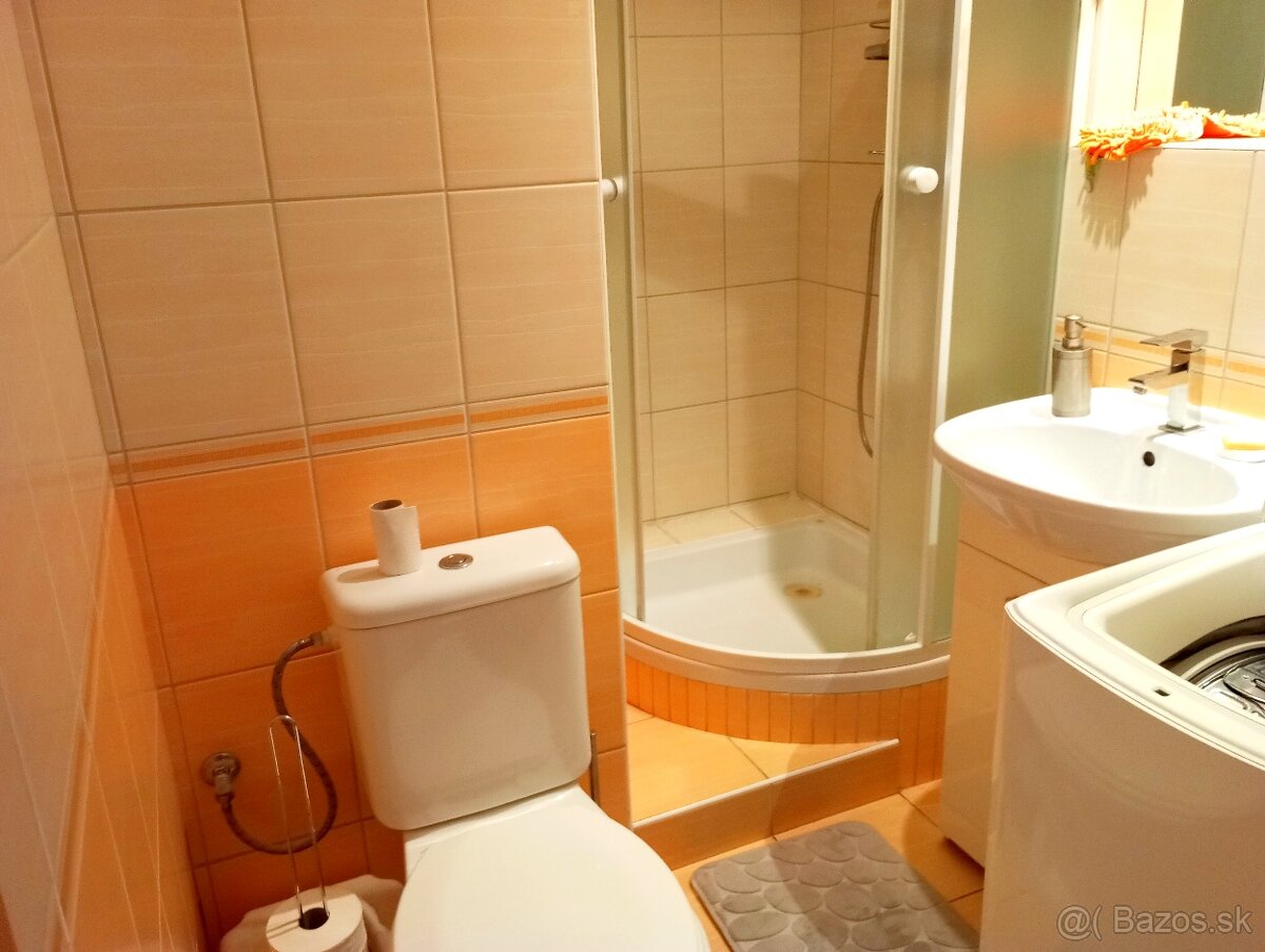 Prenajmem 1-izbový byt. - 9