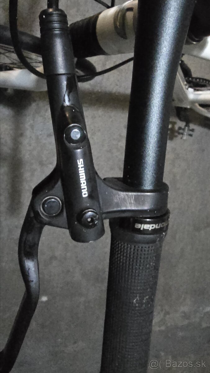 Cannondale Bad Boy - 9