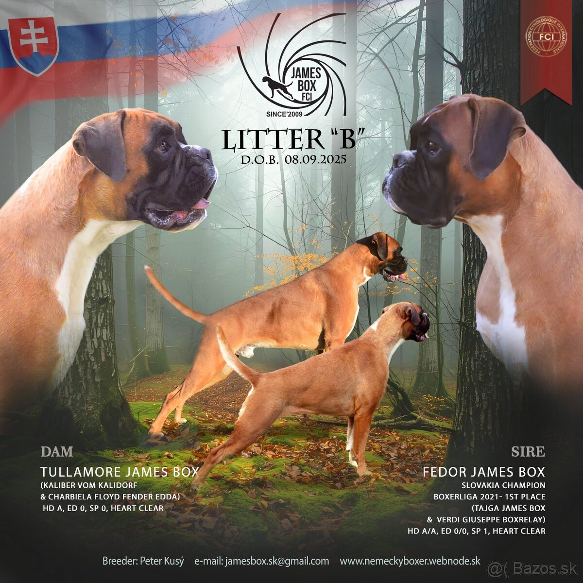 Nemecký boxer- psík s PP - 9