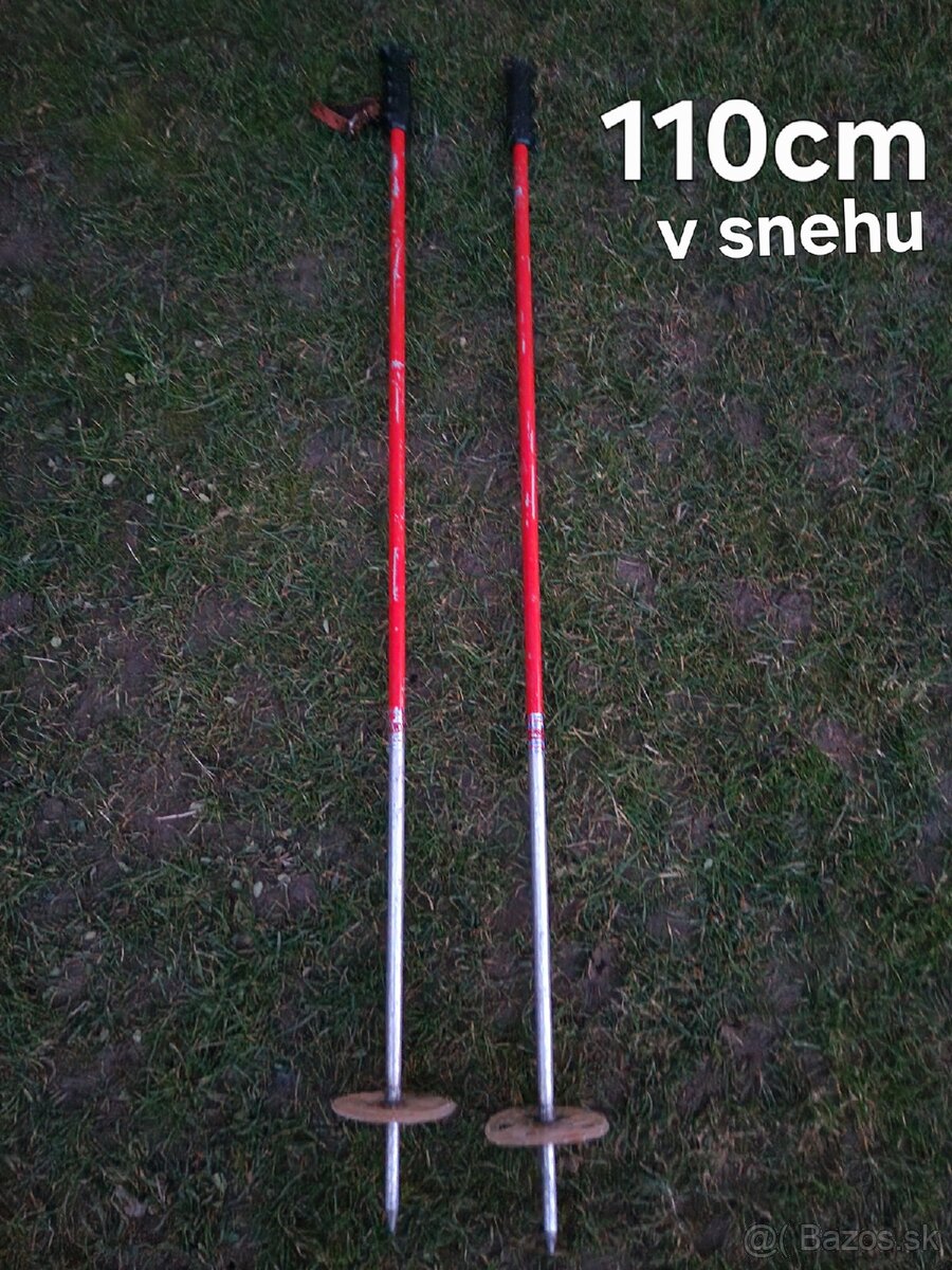 Lyže + Lyžiarske Palice - 9