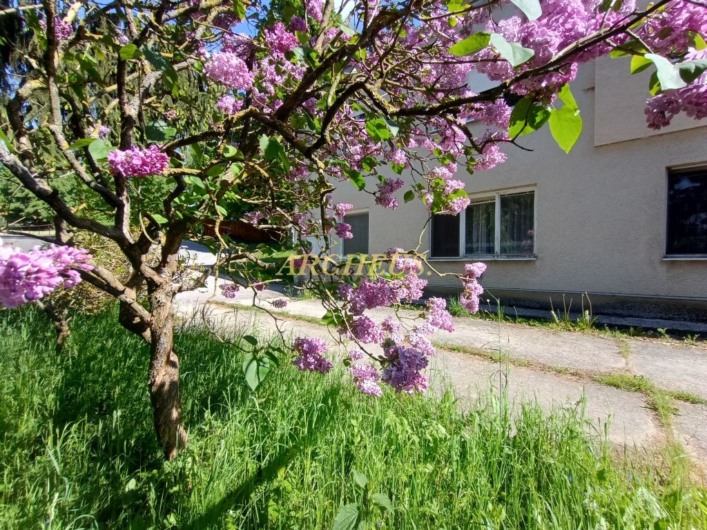 NA PREDAJ 3-IZBOVÝ BYT, 73 M2, TURÁ LÚKA, okres MYJAVA - 9