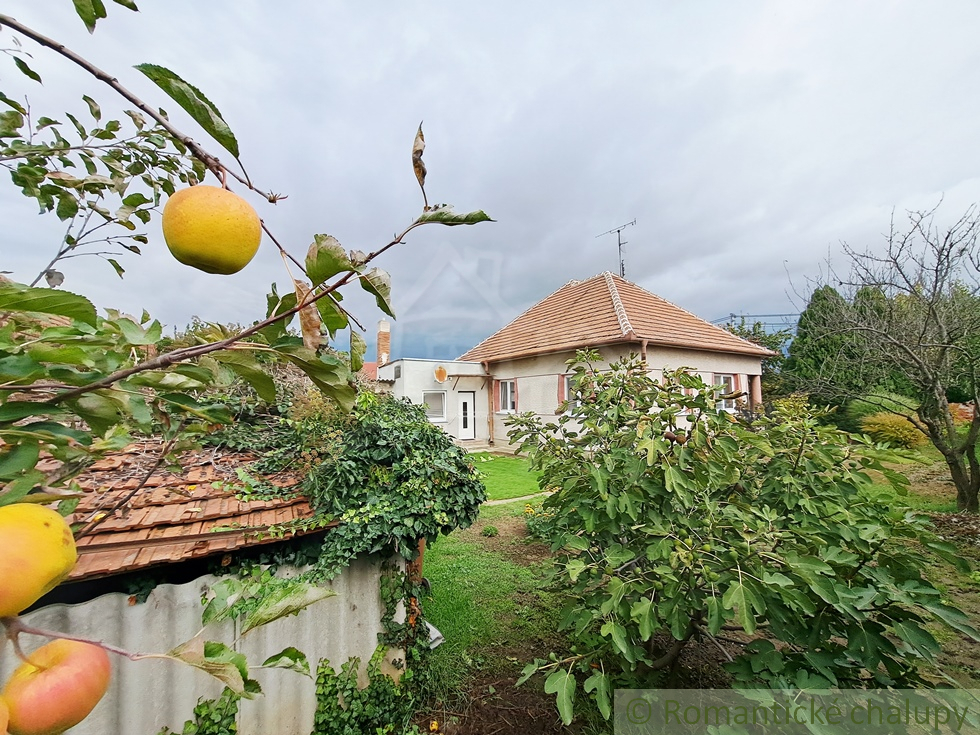 Starší dom, ktorý si zaslúži nový život, pozemok 700m2 - 9