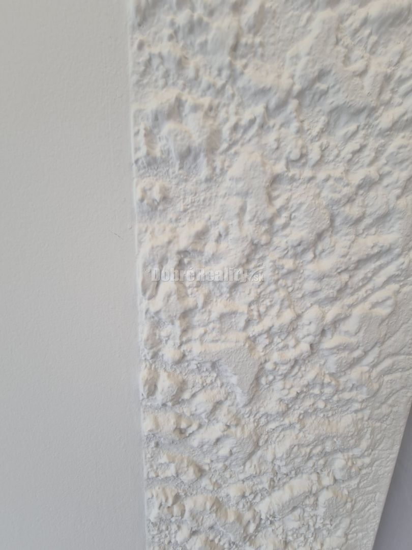 Dobré reality-na prenájom dobre viditeľný priestor na prízem - 9