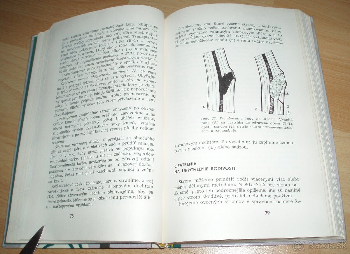 Rez a tvarovanie ovocných drevín - 9