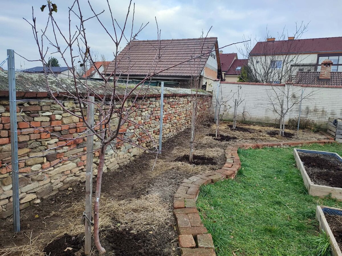 Návrh a realizácia záhrad + rez stromov – permakultúra - 9