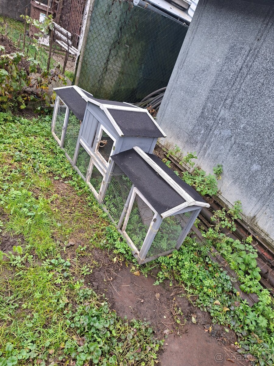 Zajačiky dva zakrslé králiky + dve veľké klietky - 9