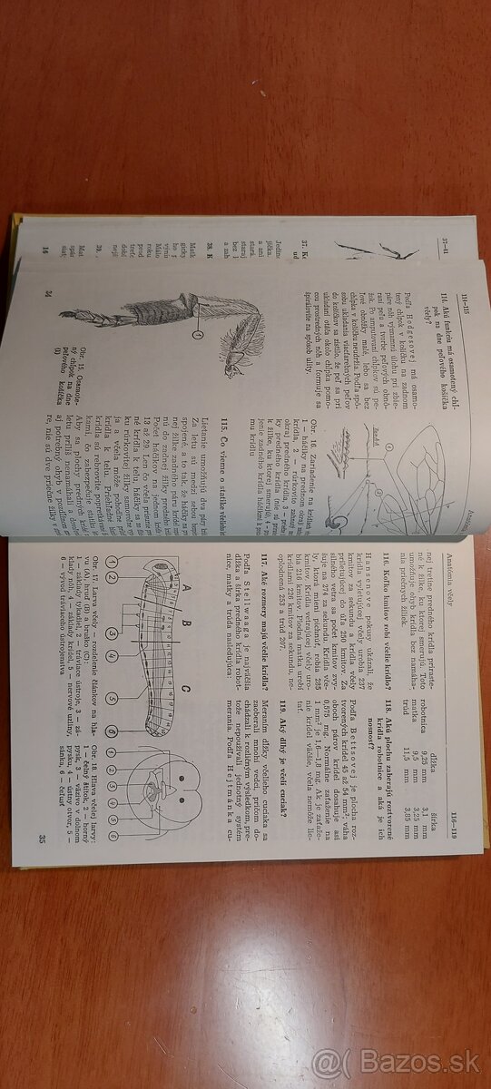 1000 otázok a odpovedí V.Križan - 9