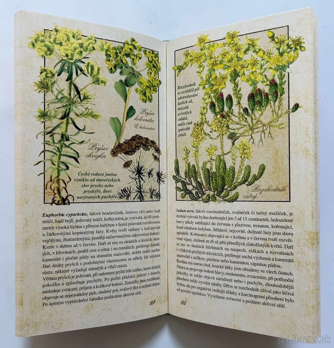 LIEČIVÉ BYLINKY + PRÍRODNÁ LIEČBA - 9