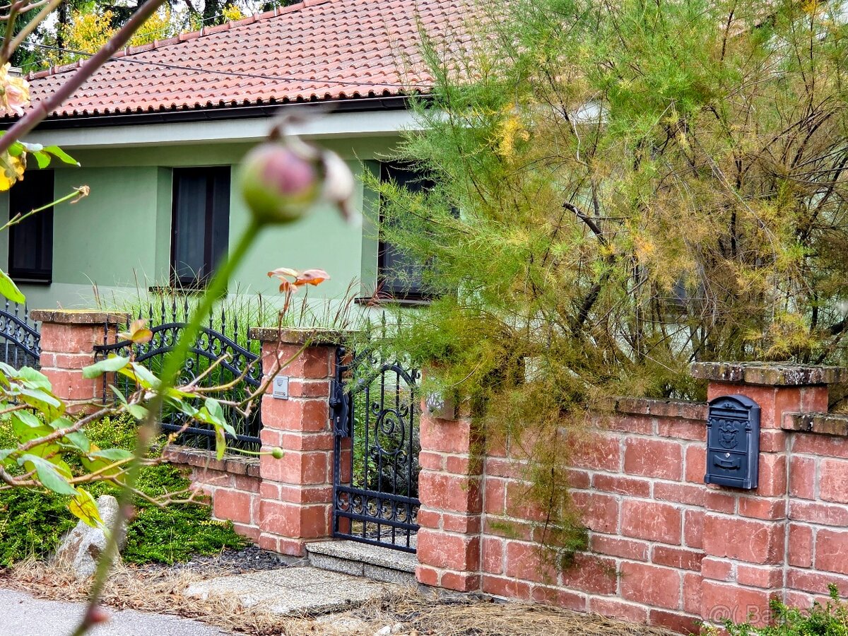 rodinný dom / vila MASLOVCE ( ČENKOVCE / OĽDZA ) 20 á pozemo - 9