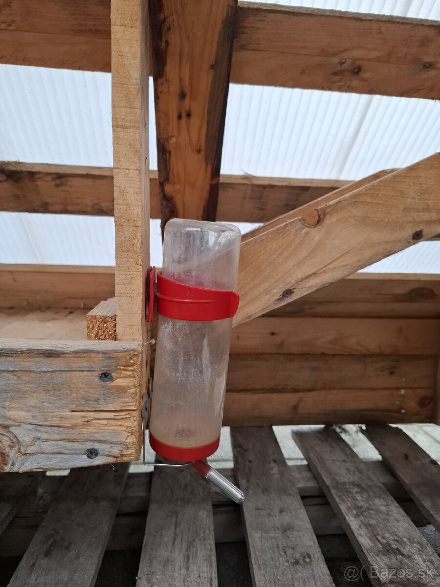 Vonkajšia búda pre morčatá - 9