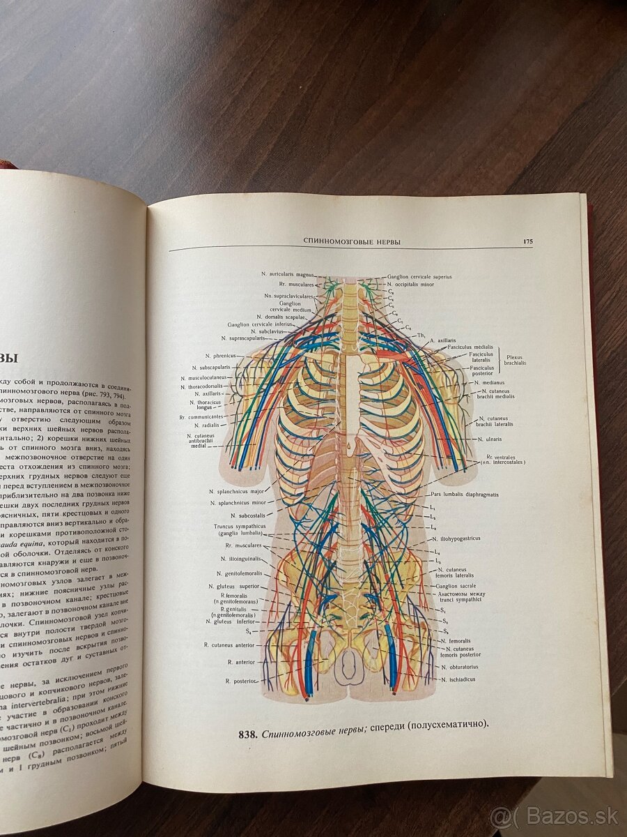 Atlas - Anatomia cloveka 2,3 - 9