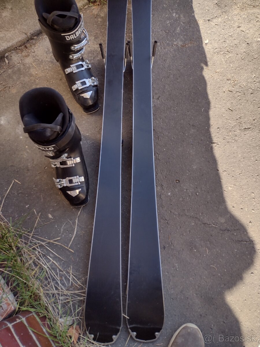 lyže 145cm,155cm,165cm - 9